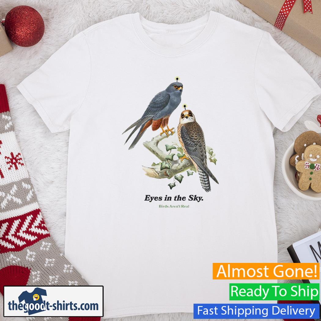 Eyes In The Sky Birds Aren’t Real Shirt