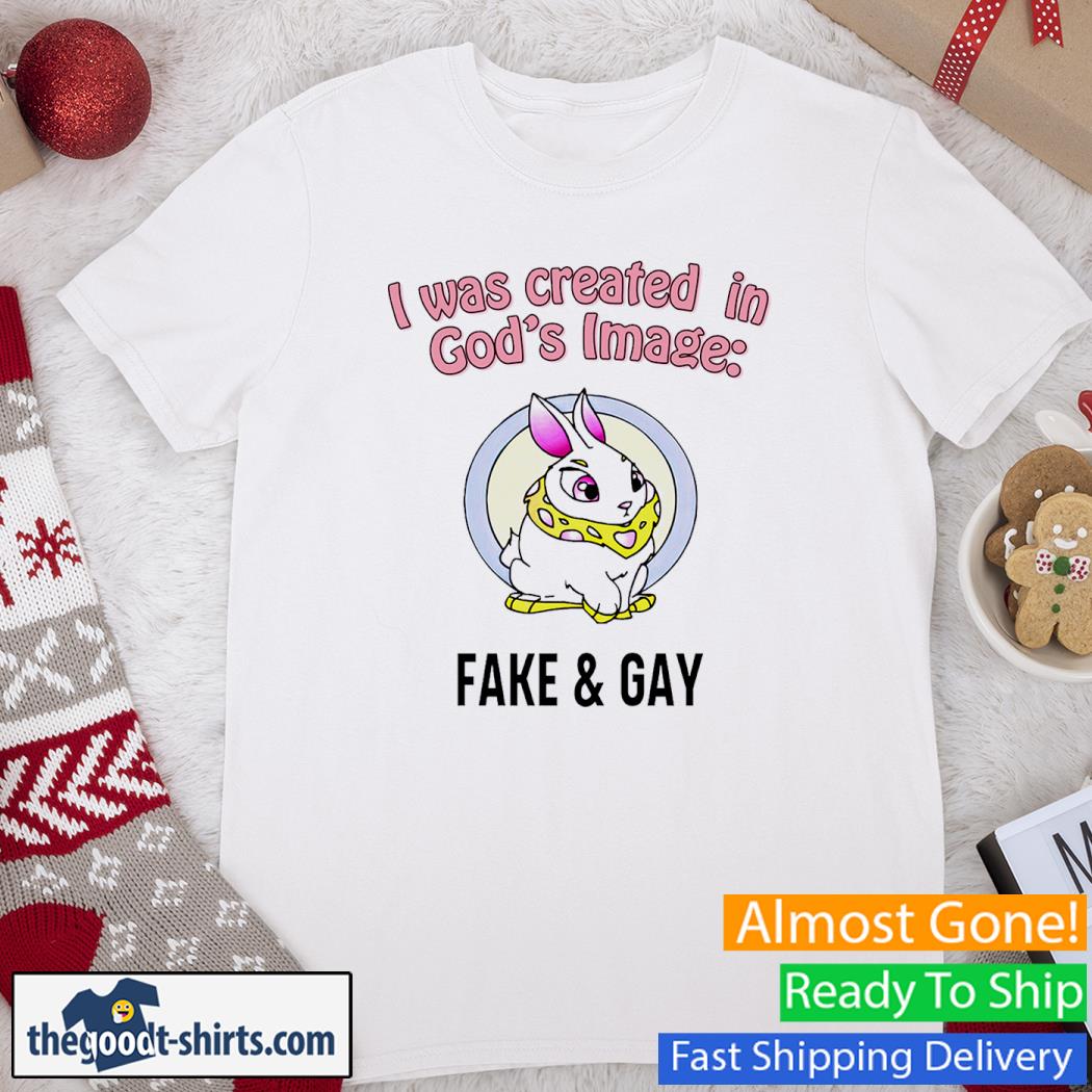 I Was Created In God's Fake And Gay Funny Shirt